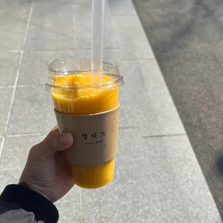 펠리쓰 대표 사진