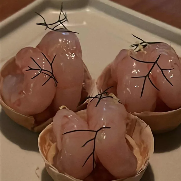 상국 대표 사진