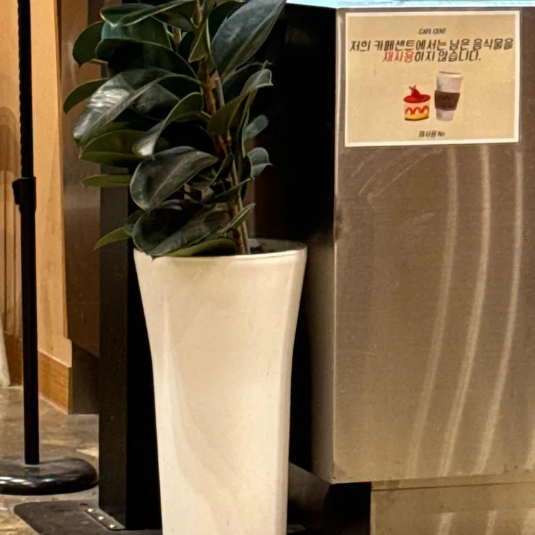 카페센트 대표 사진