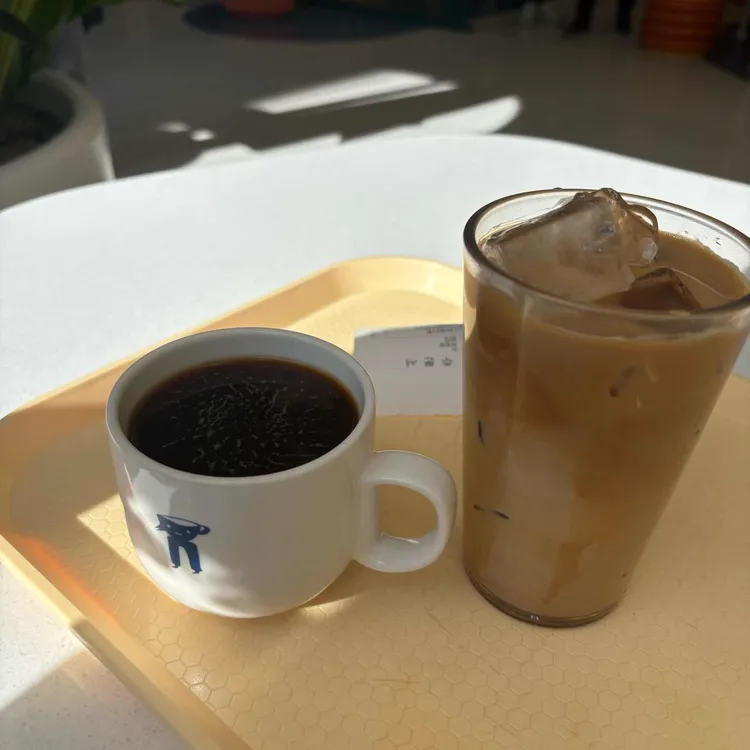 워킹컵 대표 사진