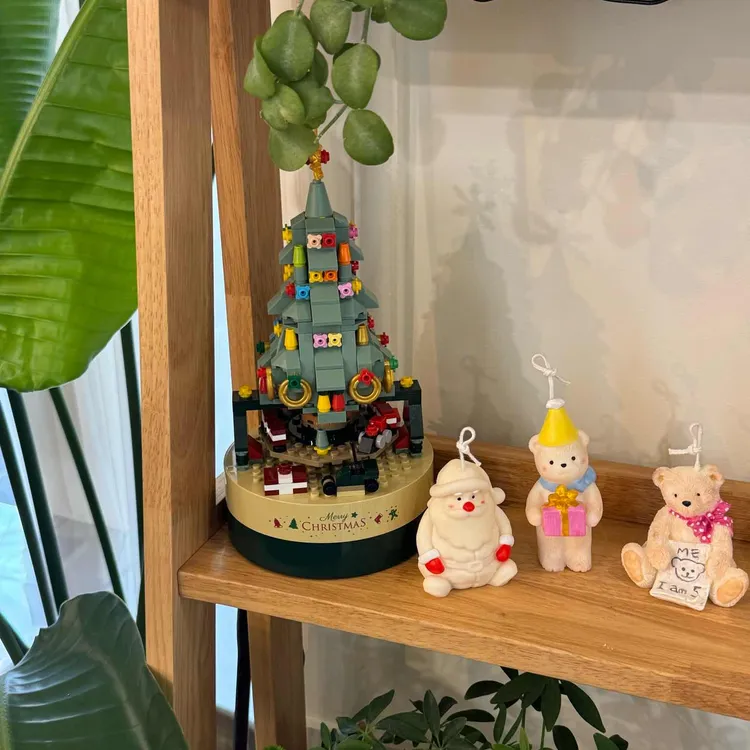 밀림 대표 사진