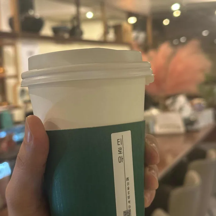 티로아 대표 사진