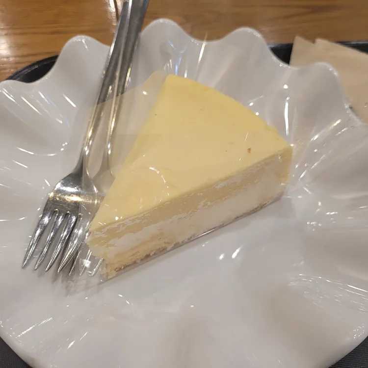 커피나무 대표 사진