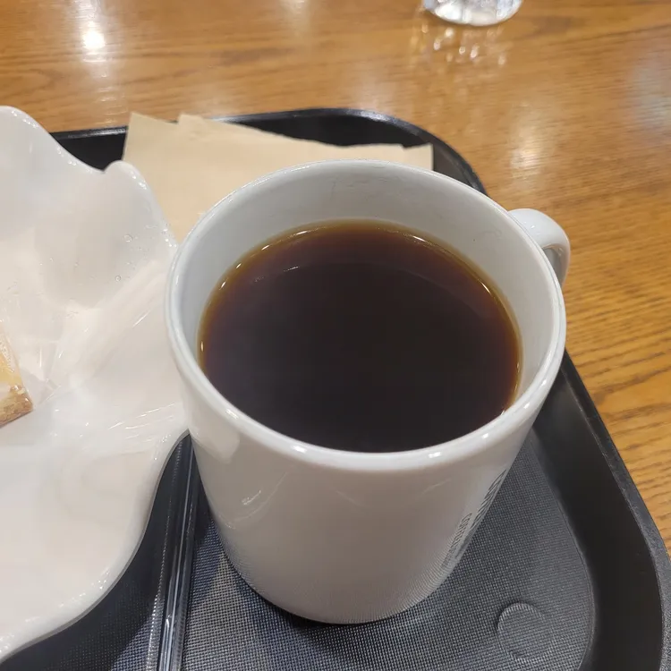 커피나무 대표 사진