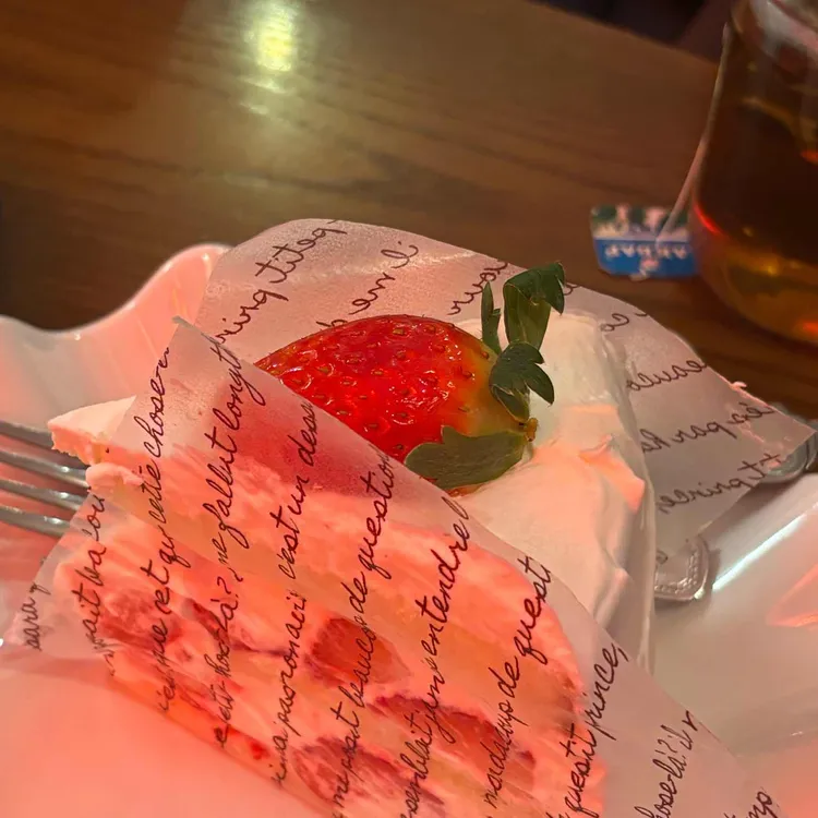 커피나무 사진 1