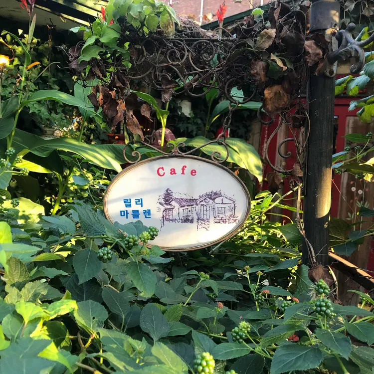 릴리마를렌 사진 1
