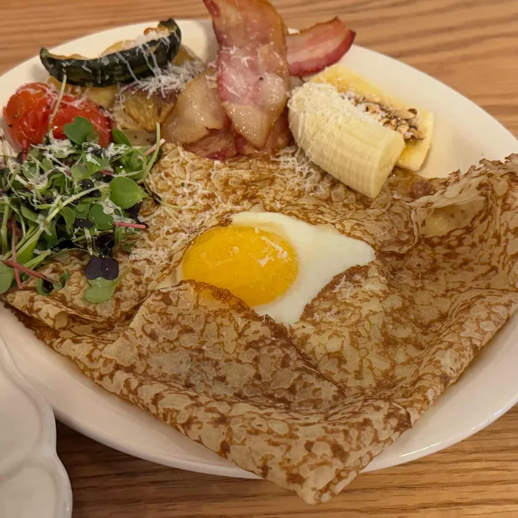 카멜리아 대표 사진