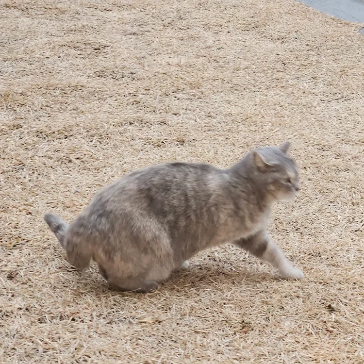 동희네 사진 2