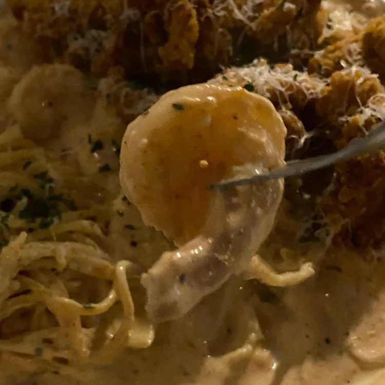 치스타리에 대표 사진