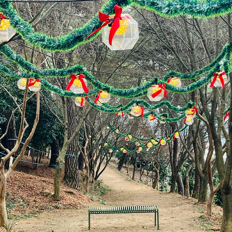 루몽드917 사진 2