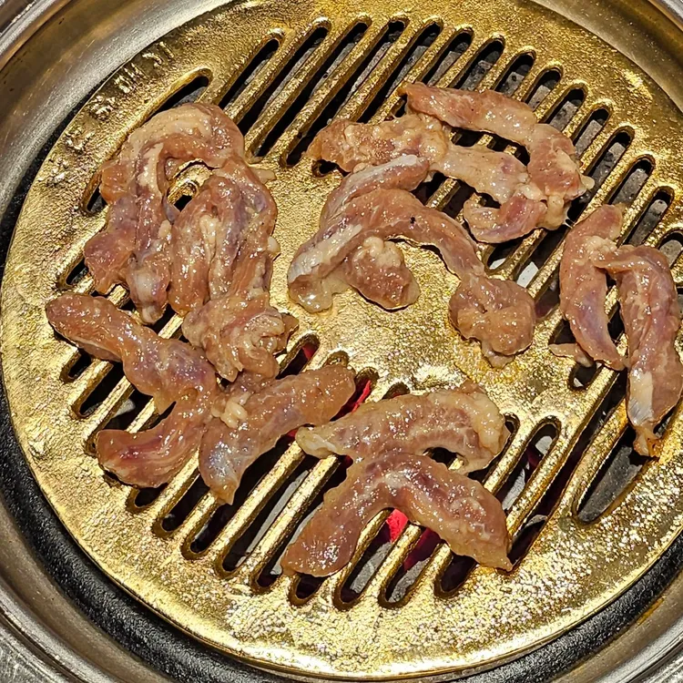 송도 갈매기 사진 2