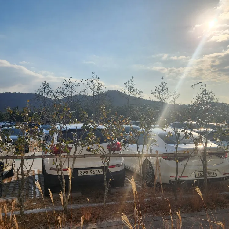 해남126 오시아노호텔 카페 대표 사진