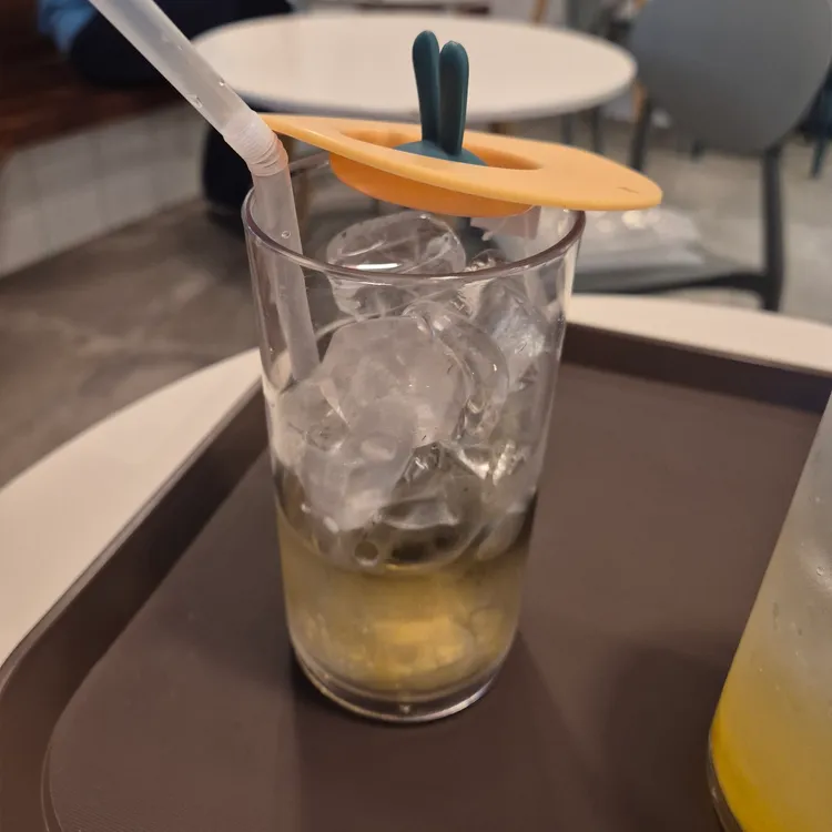 히포코코 사진 2