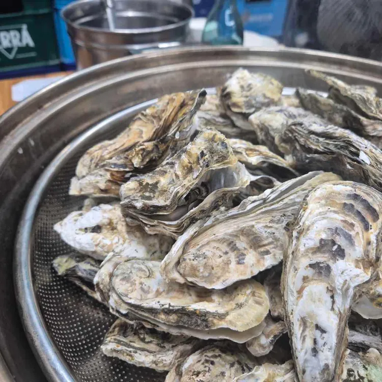 대왕마마 조개전골 칼국수 대표 사진
