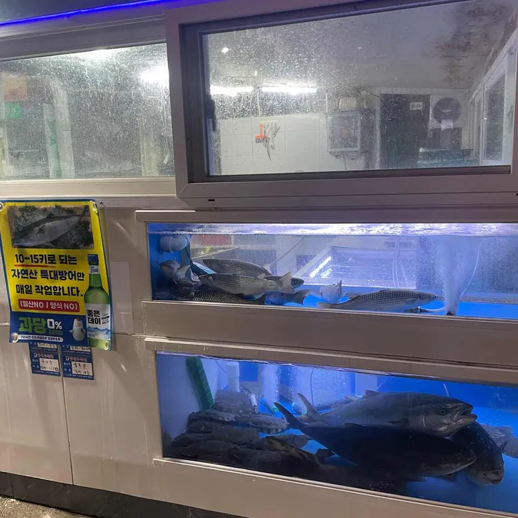 가야참가자미회 대표 사진