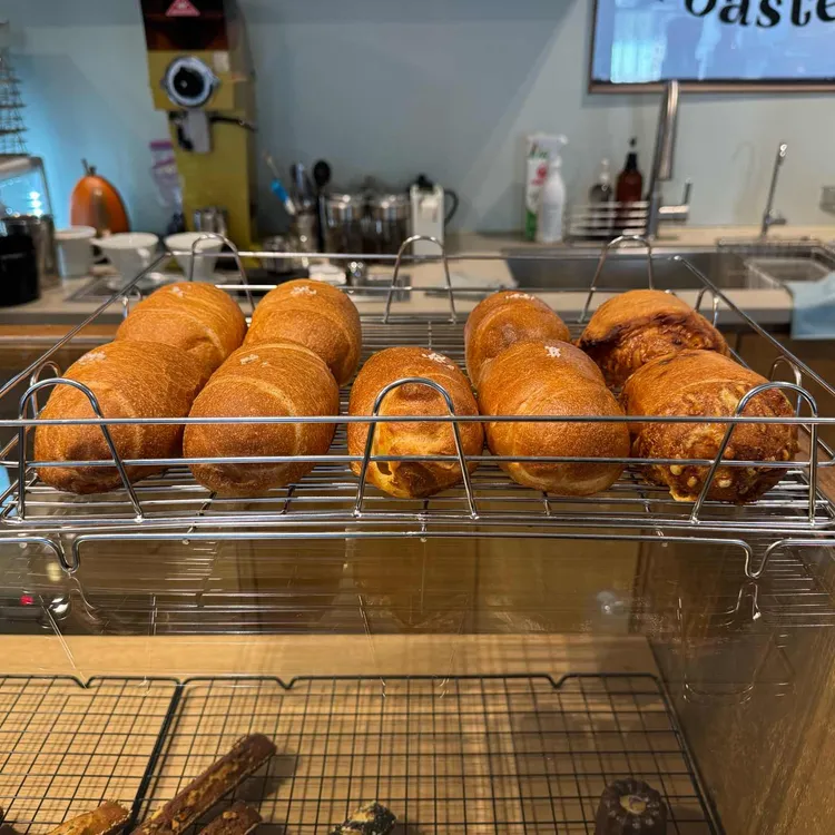 페그로스터스 대표 사진