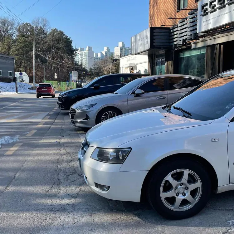 도도브로스 대표 사진