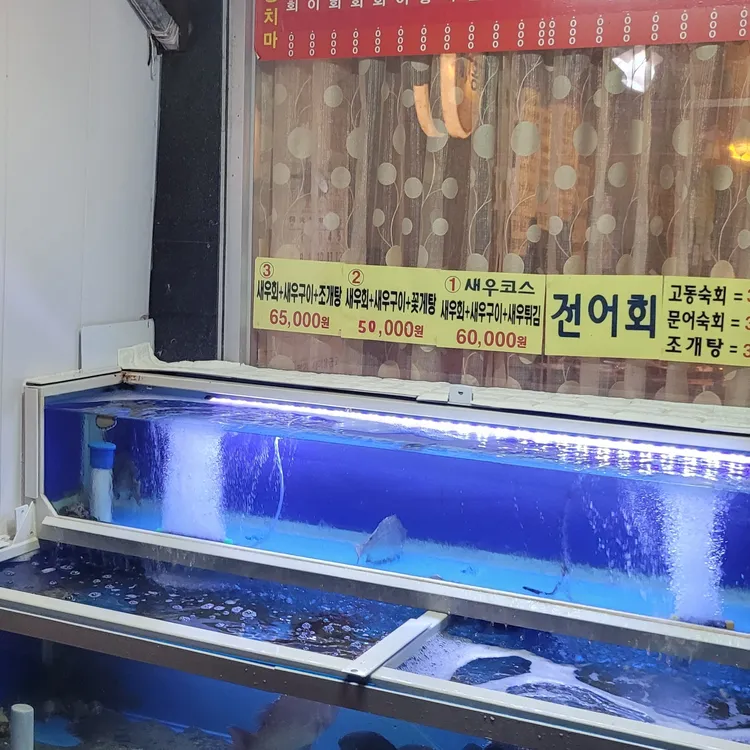 다홍치마 사진 1