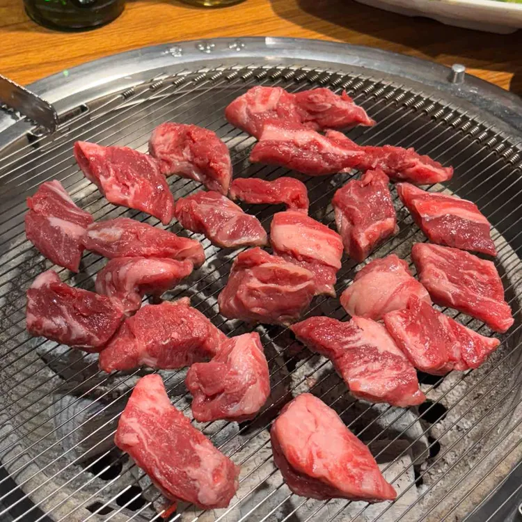 고기여행 사진 1