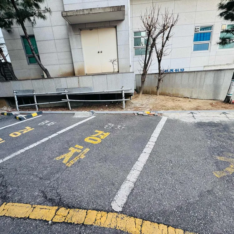 서린낙지 대표 사진