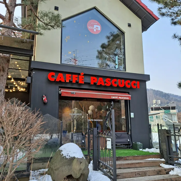 파스쿠찌 대표 사진