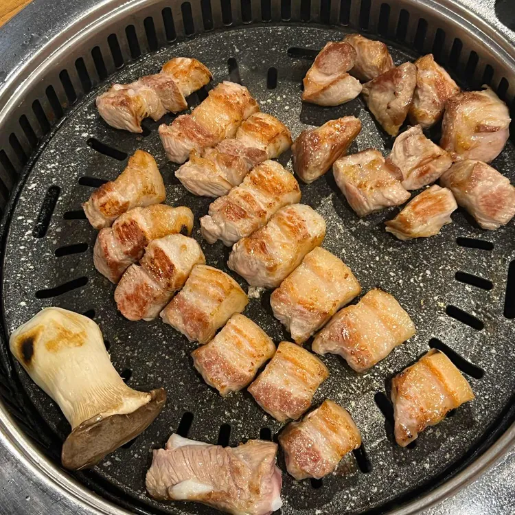 도톰 사진 1