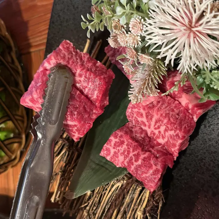 하나비 대표 사진