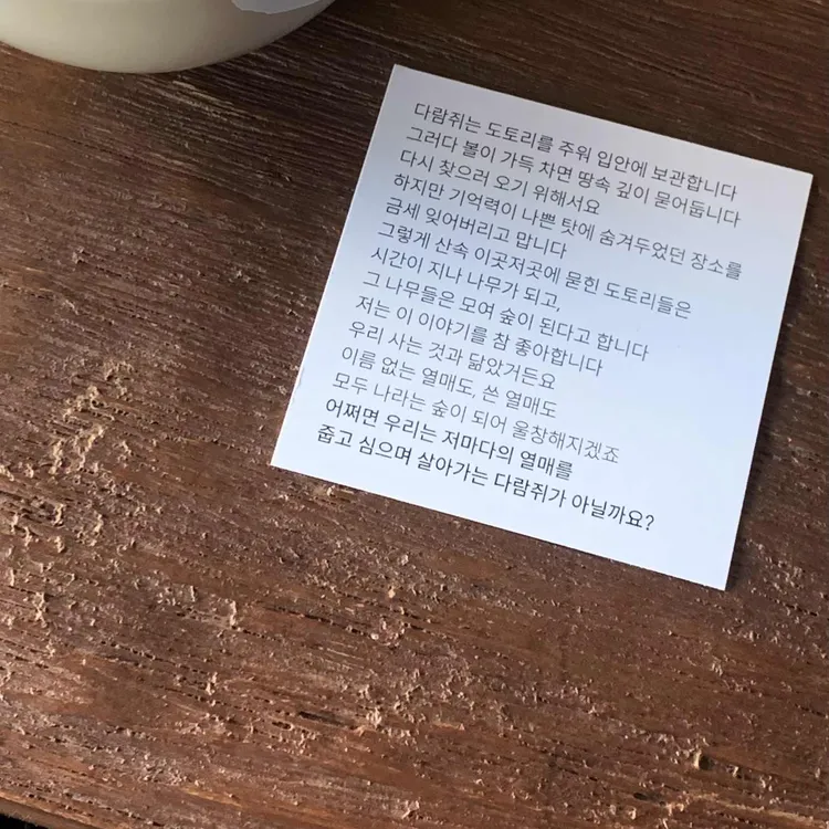 도틀 대표 사진