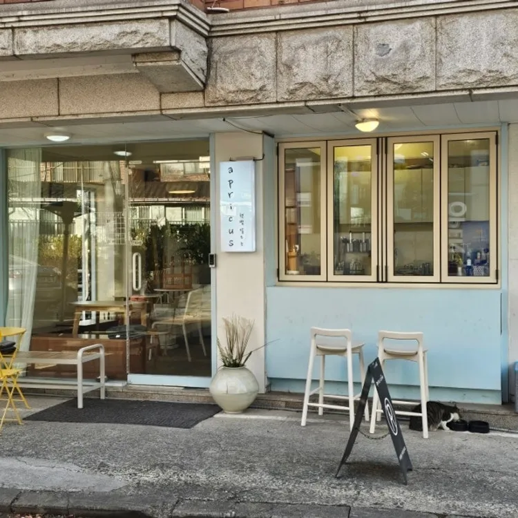 아프리쿠스 사진 1