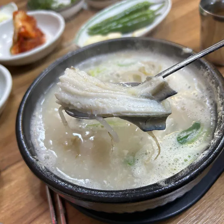 큰바다장어 사진 1