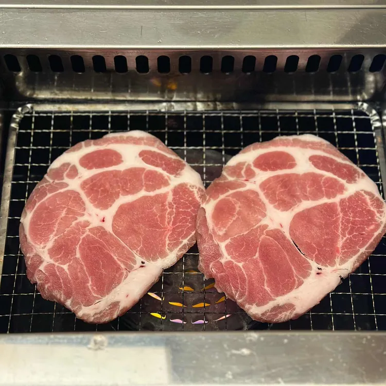 혼고집 대표 사진