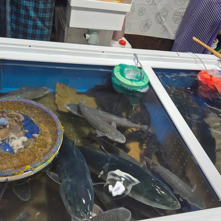 삼천포용궁수산시장 사진 2