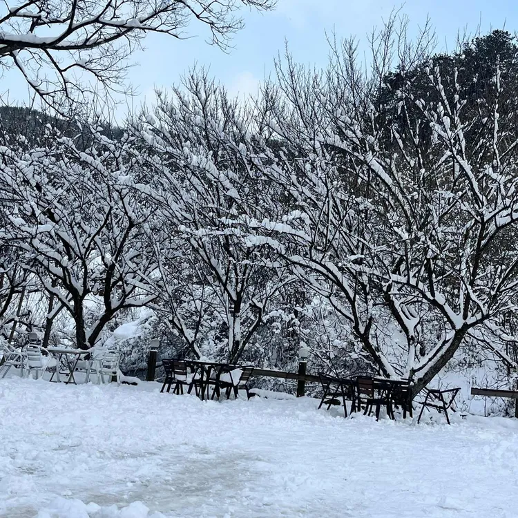 신양옥찻집 대표 사진