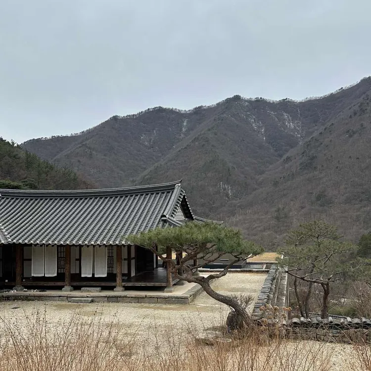 아원 대표 사진