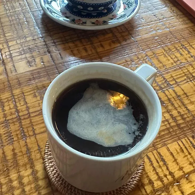 어스돔 대표 사진