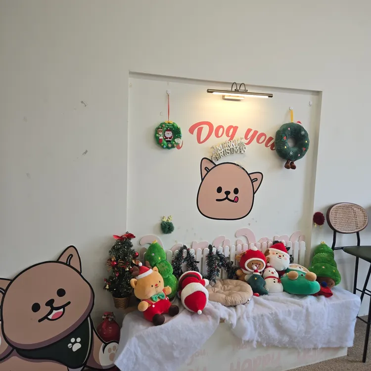 글램독 그라운드 사진 2