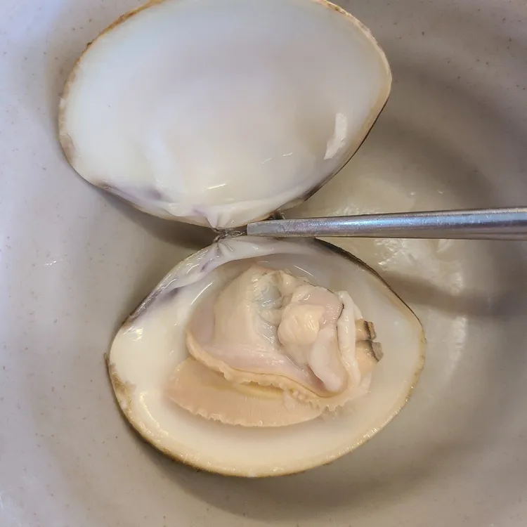 백합칼국수 대표 사진