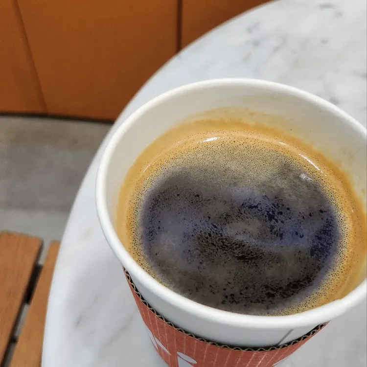 카페 트리핀 사진