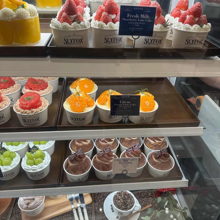 슬라이폭스 대표 사진