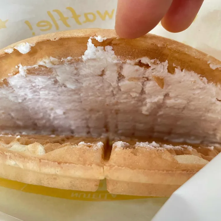 와플대학  대표 사진