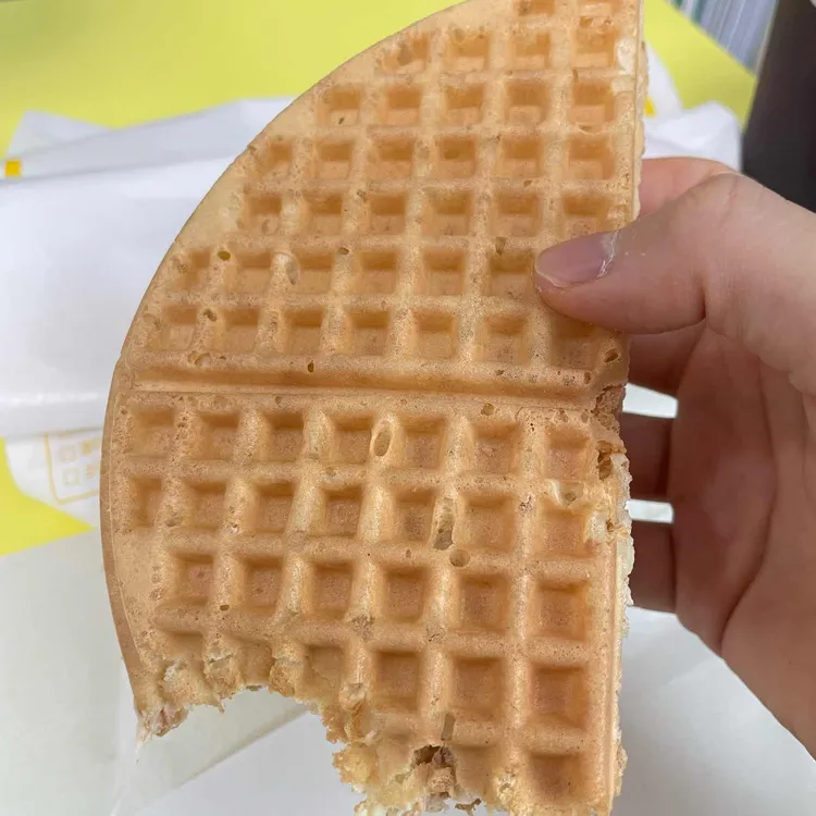와플대학  대표 사진