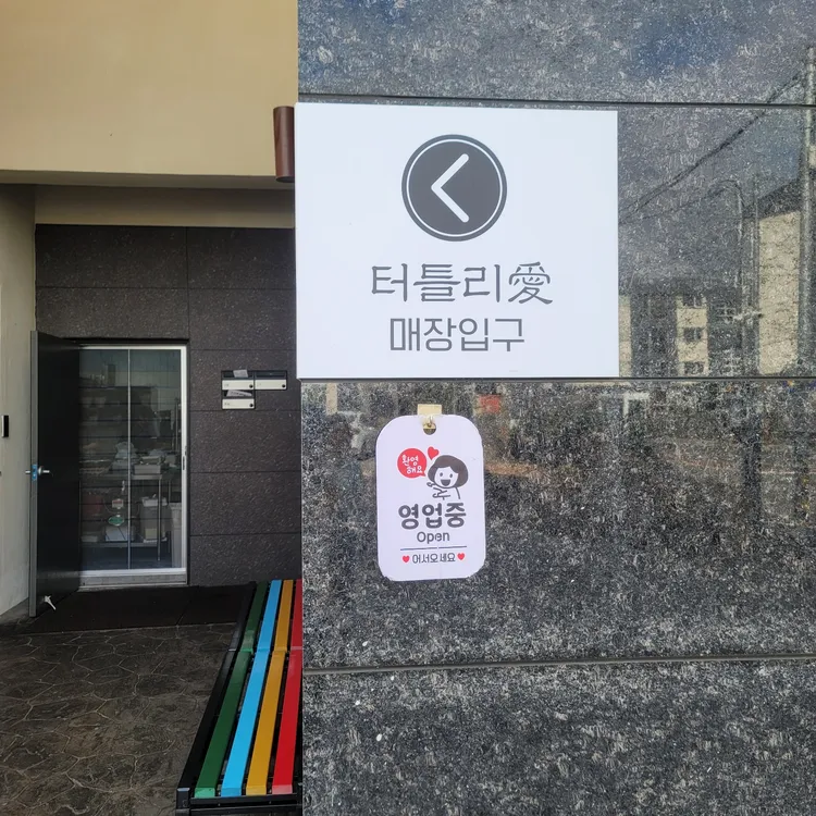 터틀리애 대표 사진