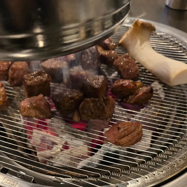 강고기 대표 사진