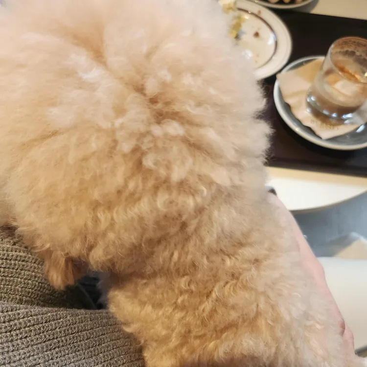 블렌드 커피 대표 사진