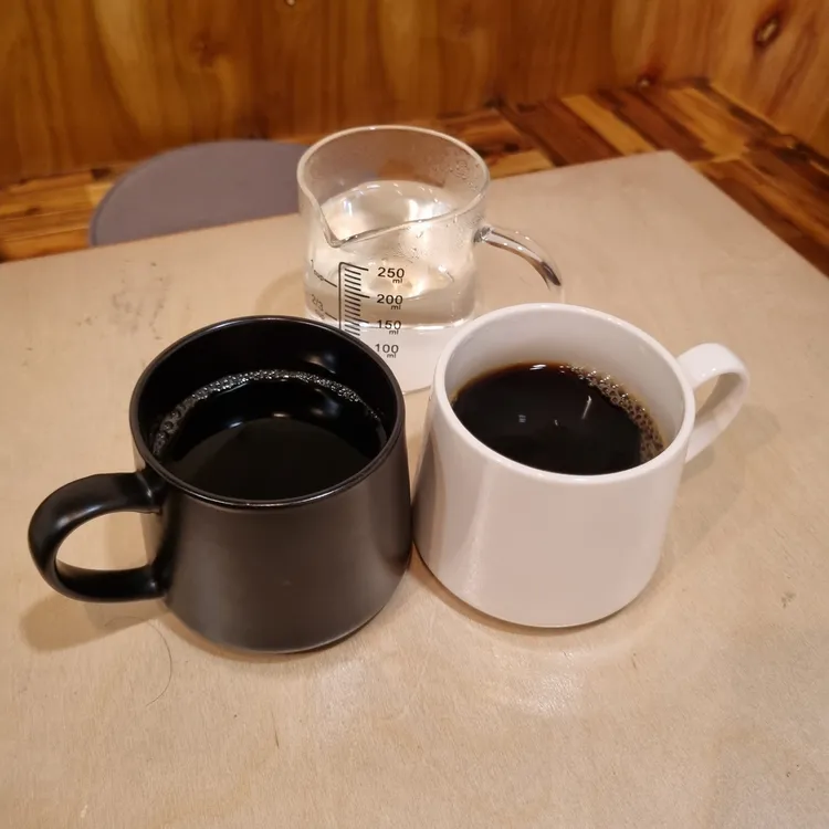 커티 대표 사진