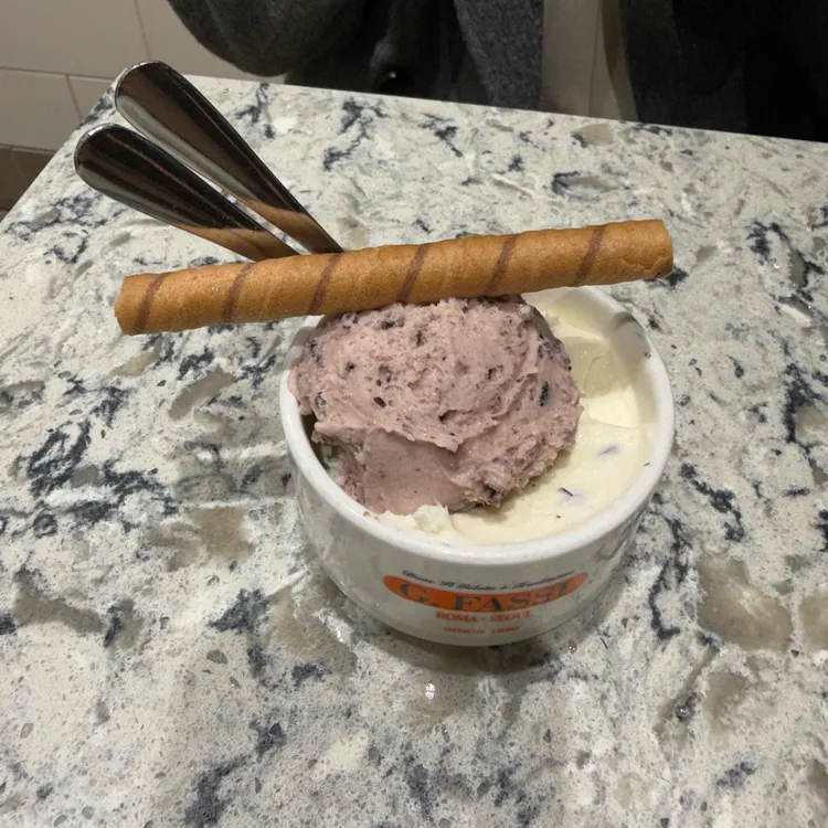 지파시 사진 2