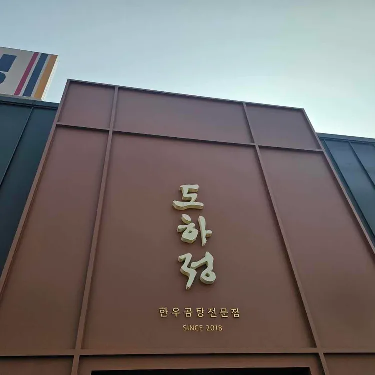 도하정 대표 사진