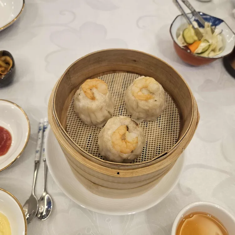 하이보 대표 사진