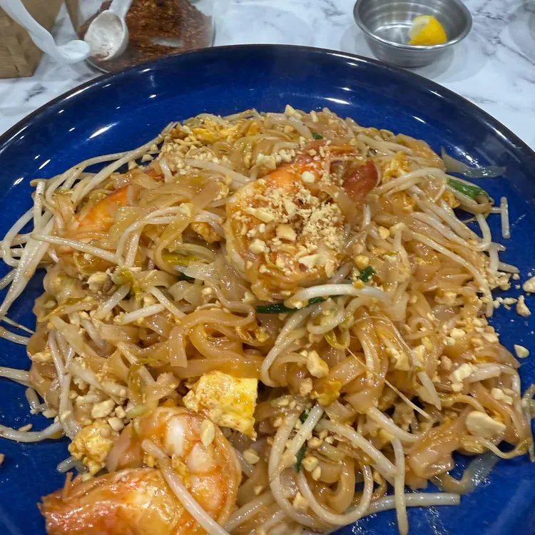 알로이 짱 대표 사진