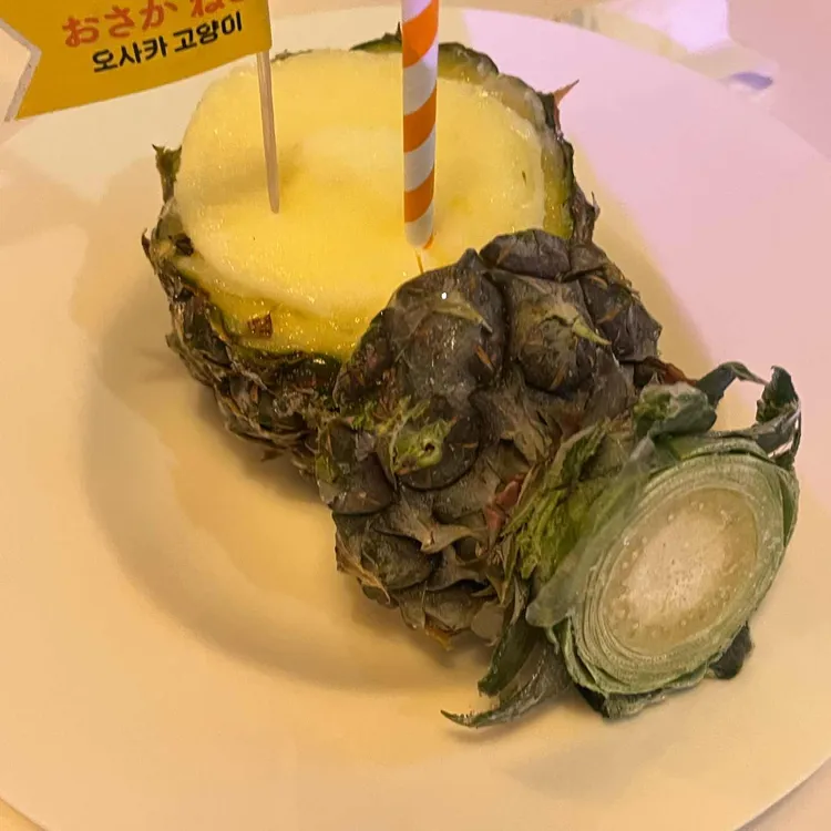 오사카고양이 대표 사진